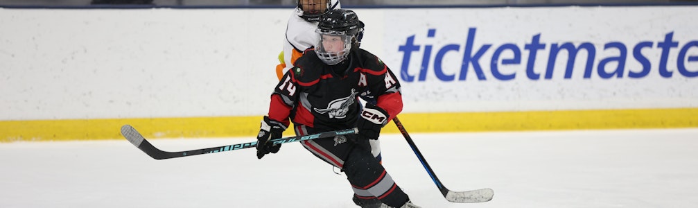 Lane Bigelow's Ice Hockey cover photo